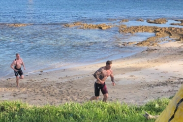 Bay to Bridge Run