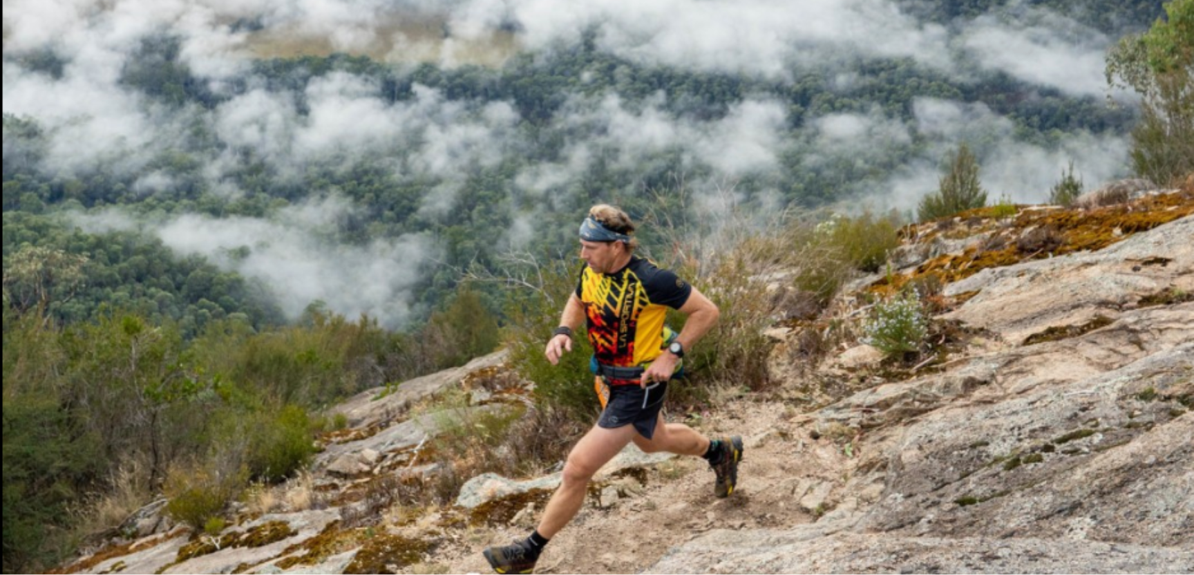 Buffalo Stampede Festival