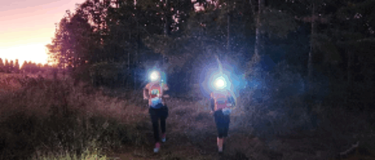 MOJO Adventure Run