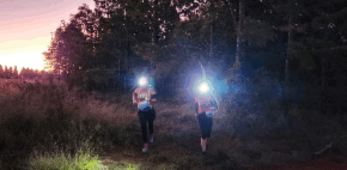 MOJO Adventure Run