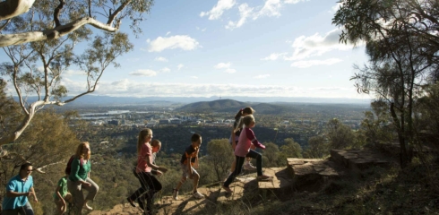 Mt Ainslie Run Up