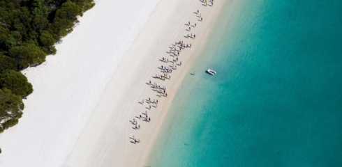 Great Whitehaven Beach Run
