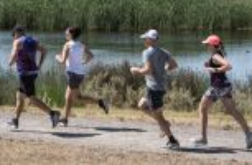 Great Southern Half Marathon