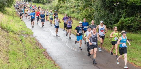 Fernleigh15