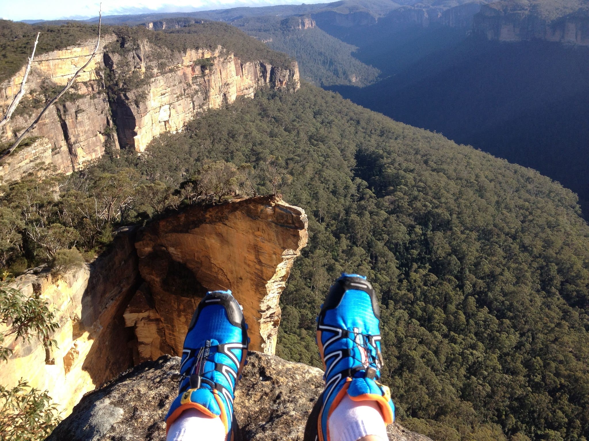 Blue Goats Backyard Marathon
