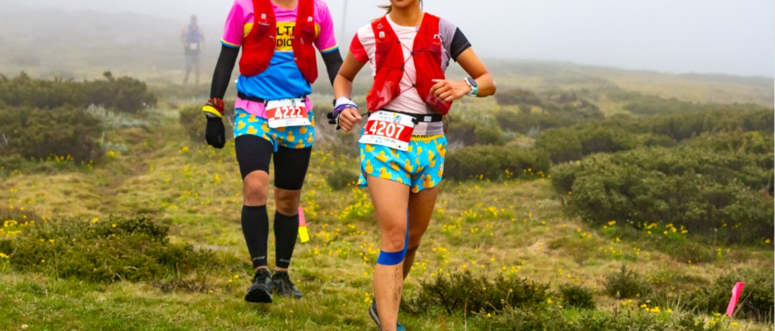 Alpine Challenge