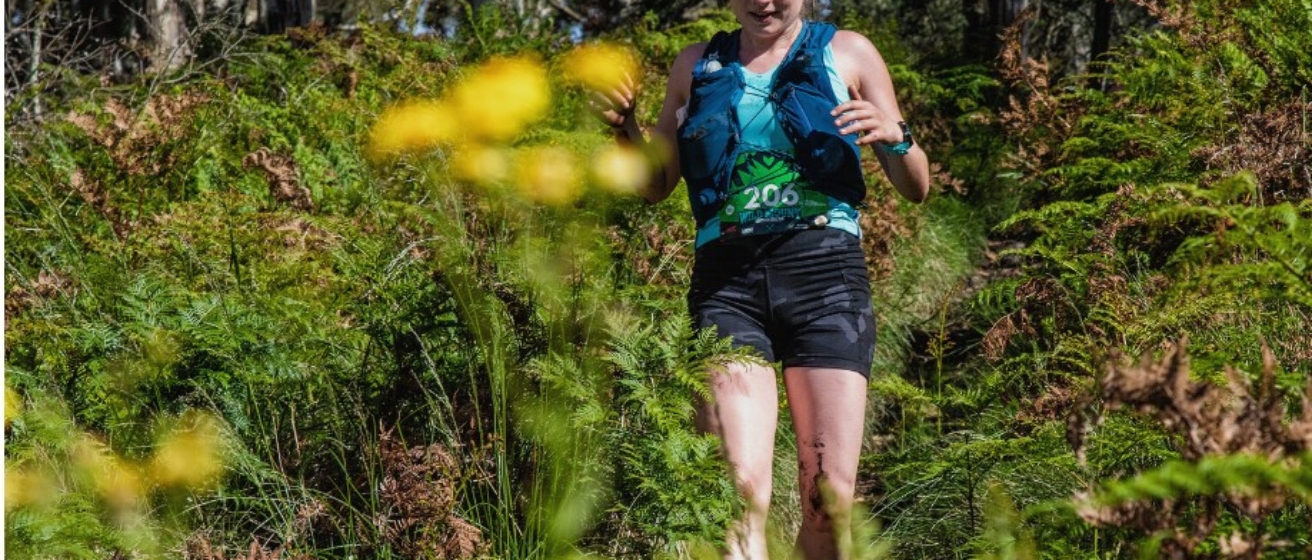 Wild Mount Trail Run