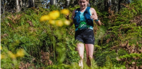 Wild Mount Trail Run