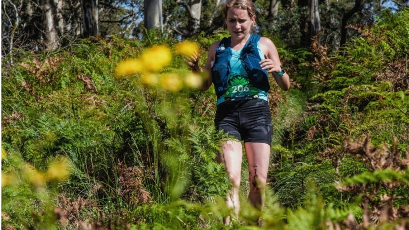 Wild Mount Trail Run