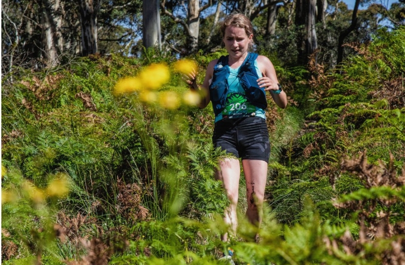 Wild Mount Trail Run