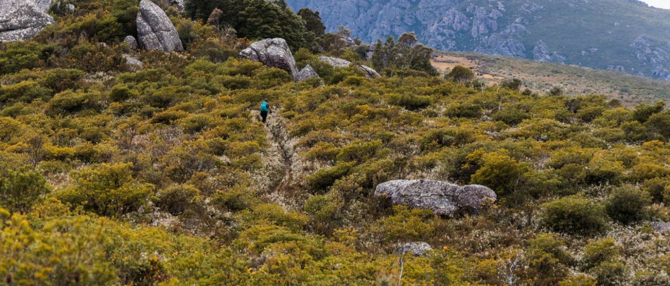 Triple Top Mountain Run