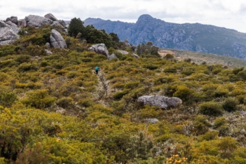Triple Top Mountain Run