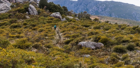 Triple Top Mountain Run