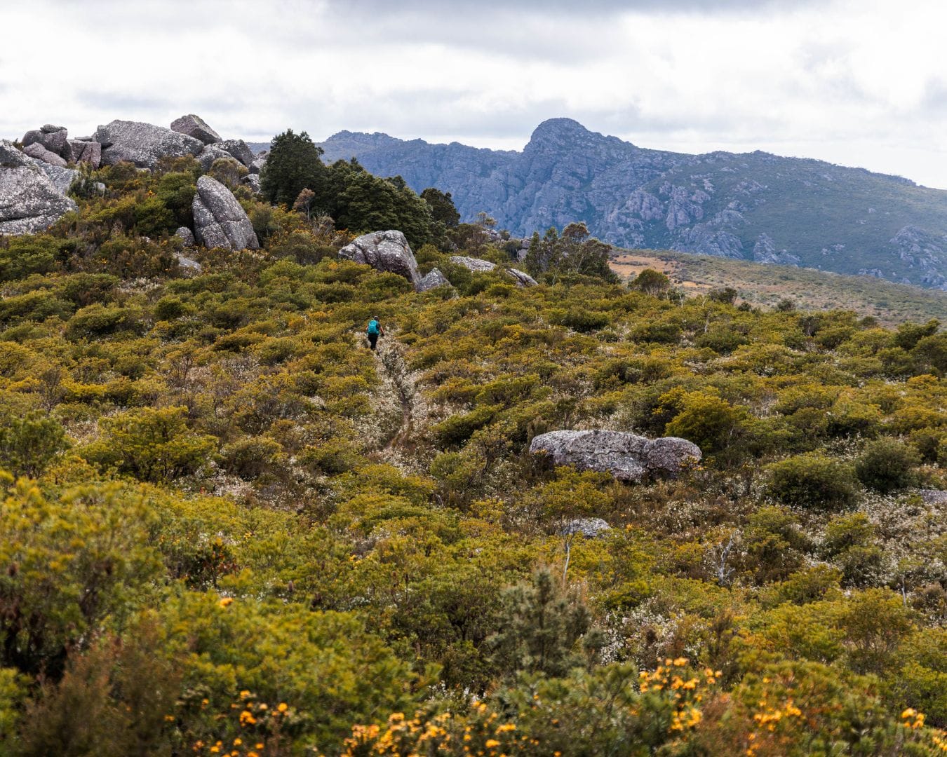 Triple Top Mountain Run
