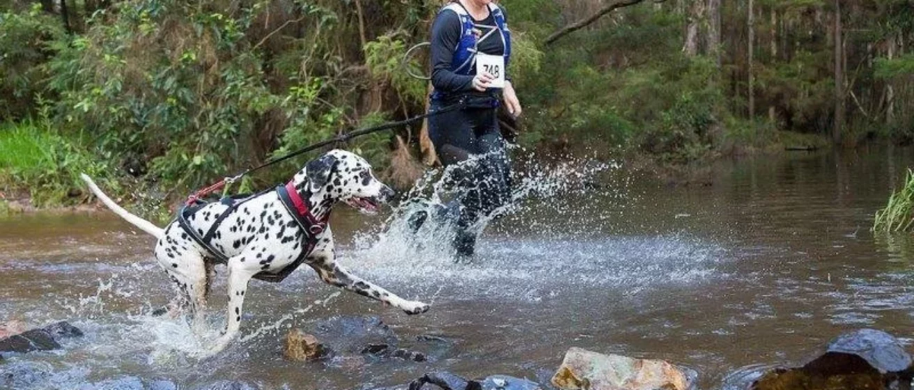 White Rock Trail Festival
