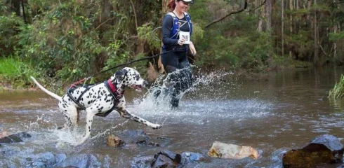 White Rock Trail Festival