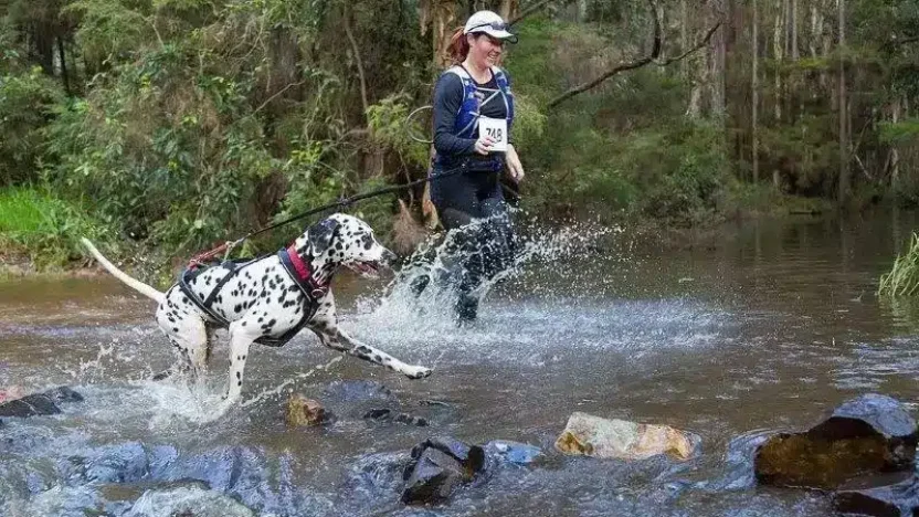 White Rock Trail Festival