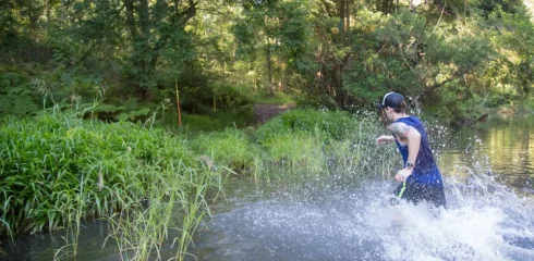 SEQ Trail Series: Numinbah Valley