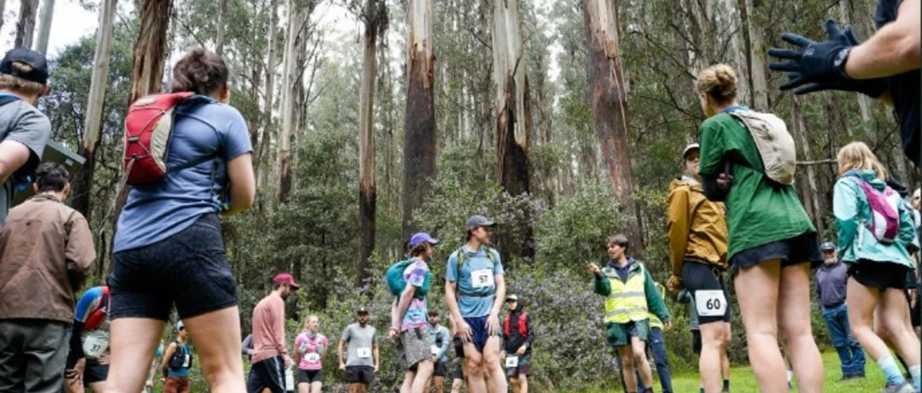 Great Forest Trail Marathon