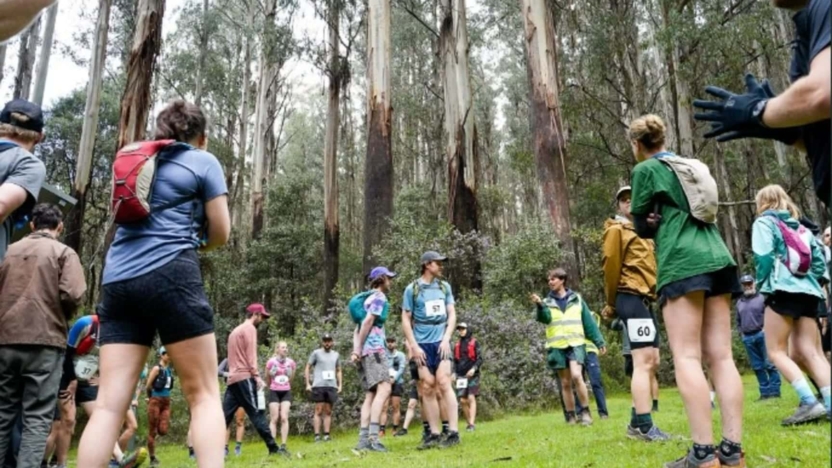 Great Forest Trail Marathon