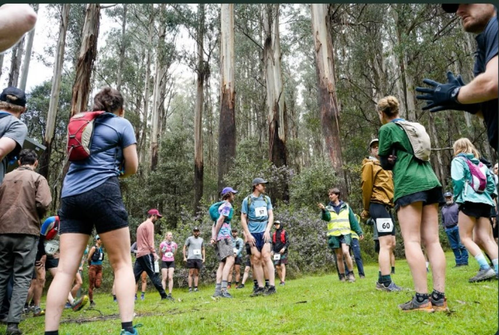 Great Forest Trail Marathon