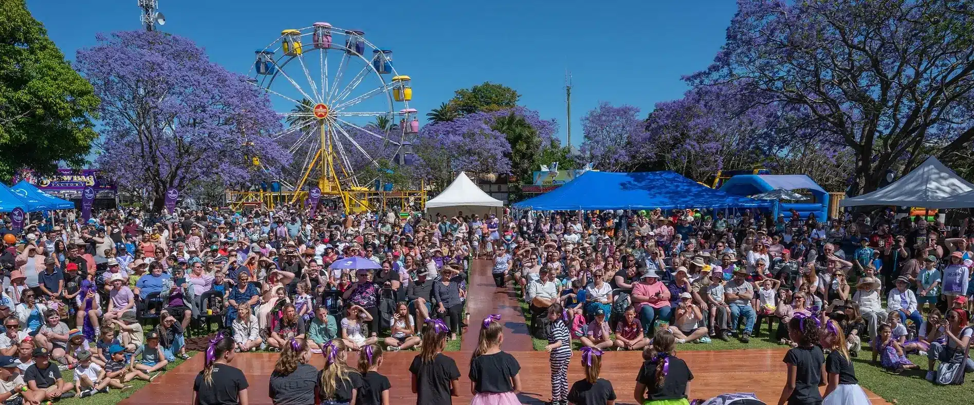 Grafton Jacaranda Running Festival