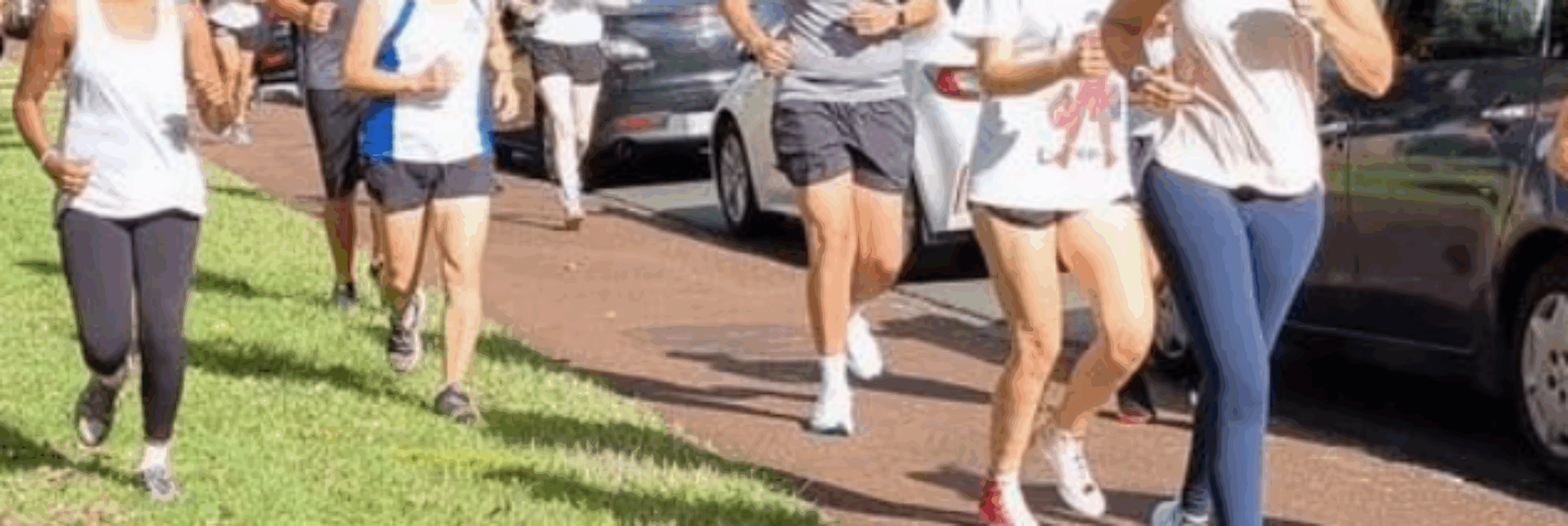 Auckland Joggers Club