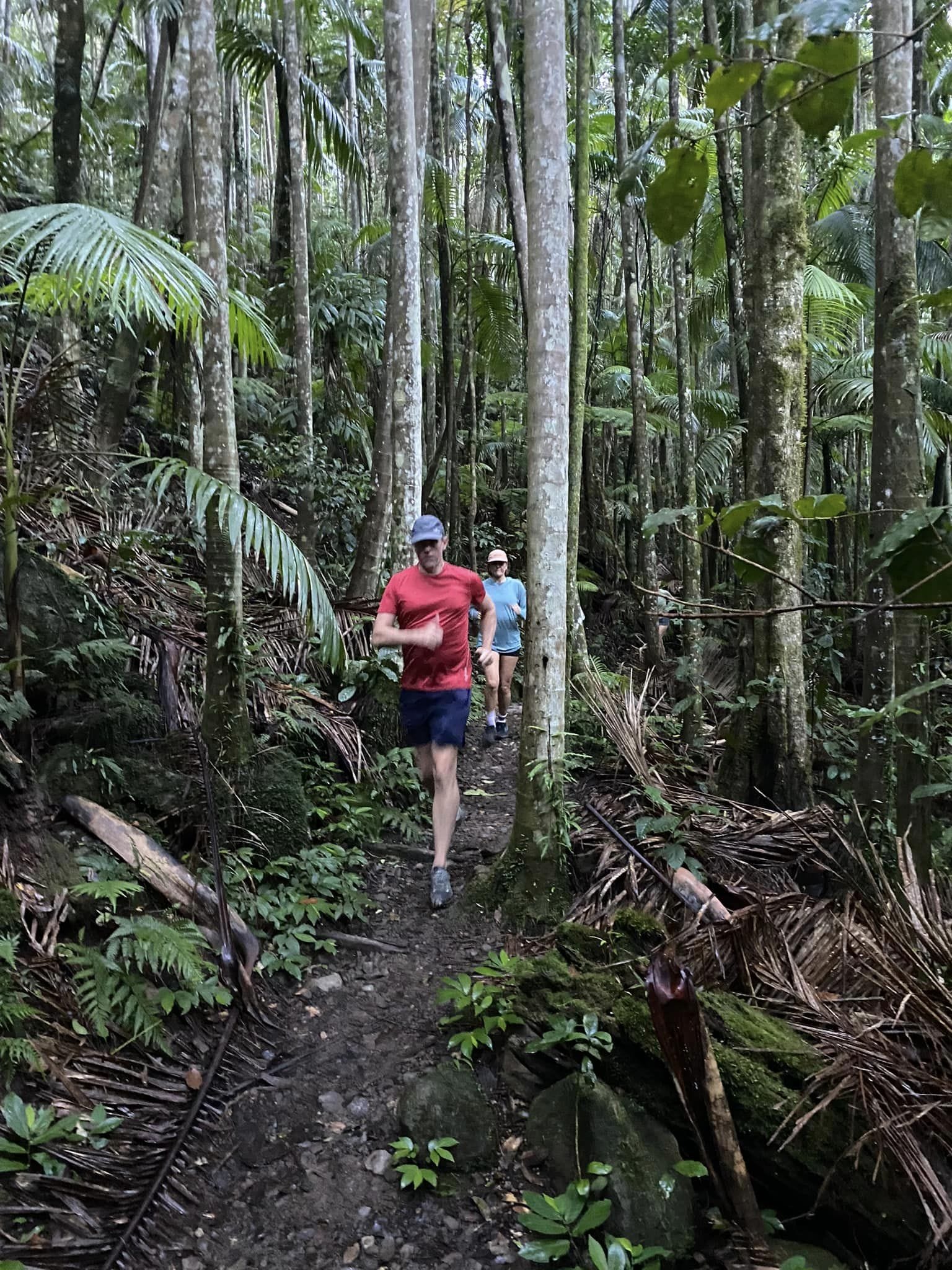 Byron Rainforest Run