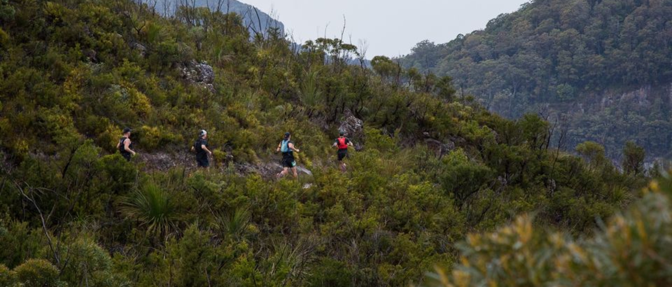 Coastal High Trail Runs
