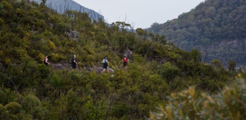 Coastal High Trail Runs