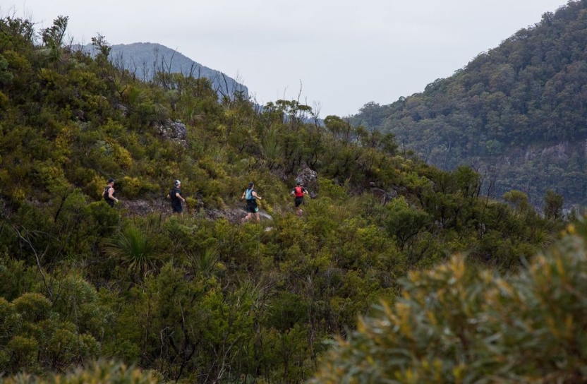 Coastal High Trail Runs