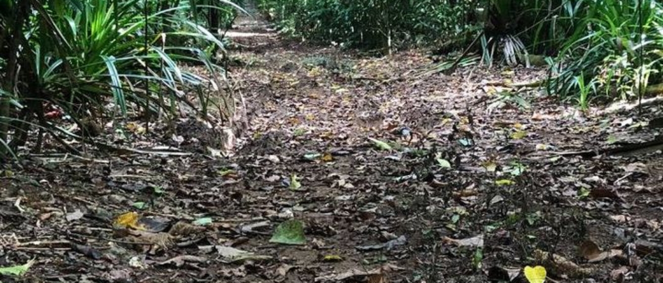 Christmas Island Marathon