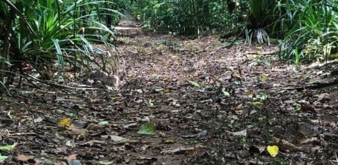 Christmas Island Marathon