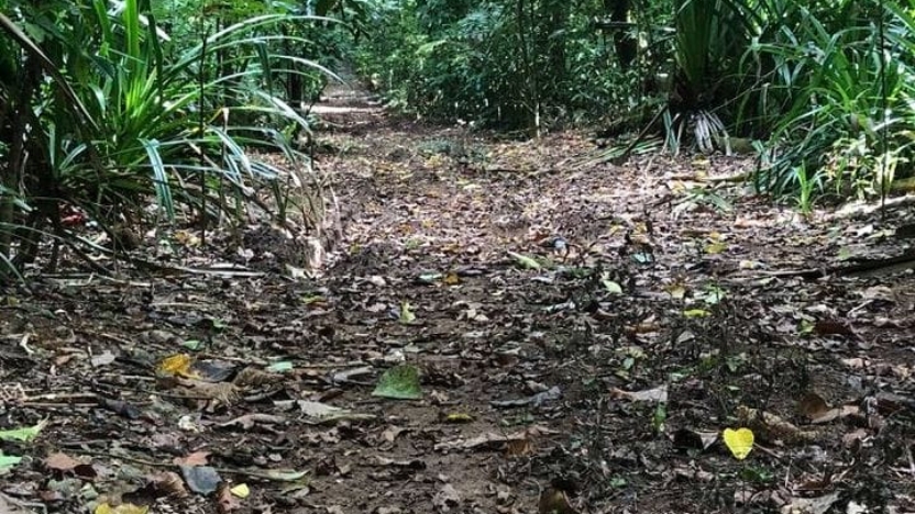 Christmas Island Marathon