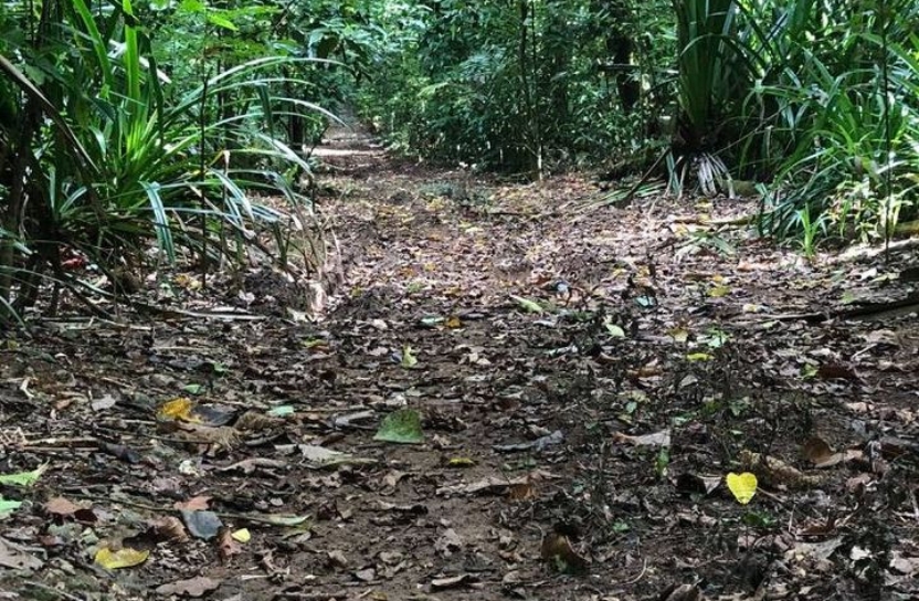 Christmas Island Marathon