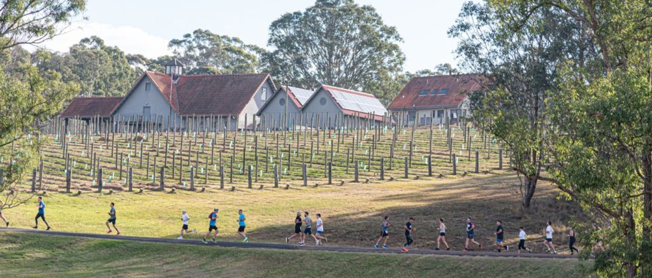 Winery Running Festival
