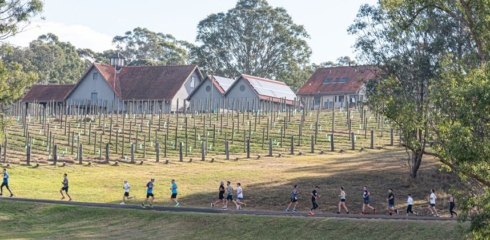 Winery Running Festival