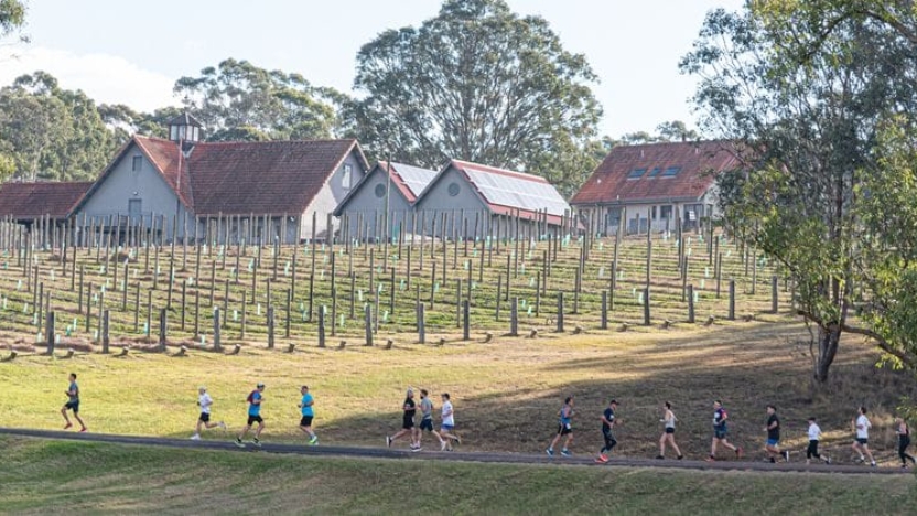 Winery Running Festival