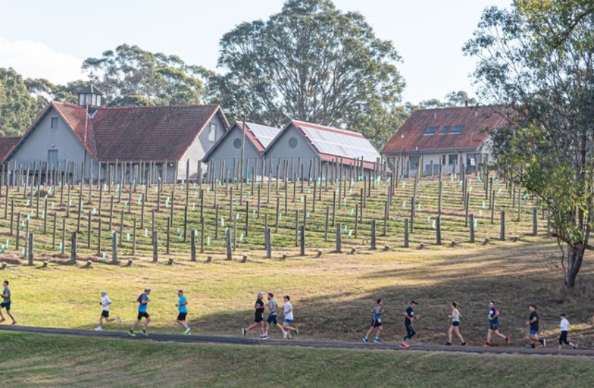 Winery Running Festival