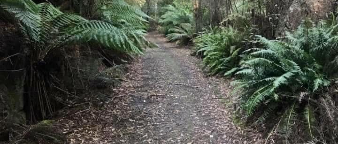 Rail Trail Run and Ride