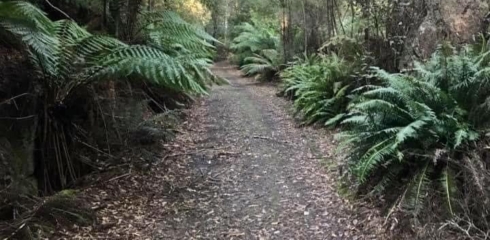 Rail Trail Run and Ride