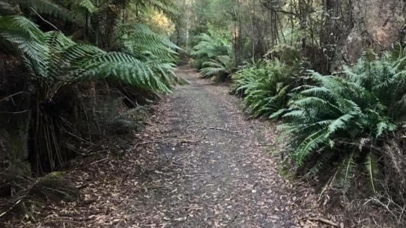 Rail Trail Run and Ride