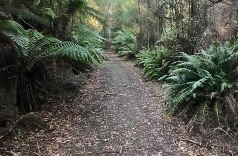 Rail Trail Run and Ride