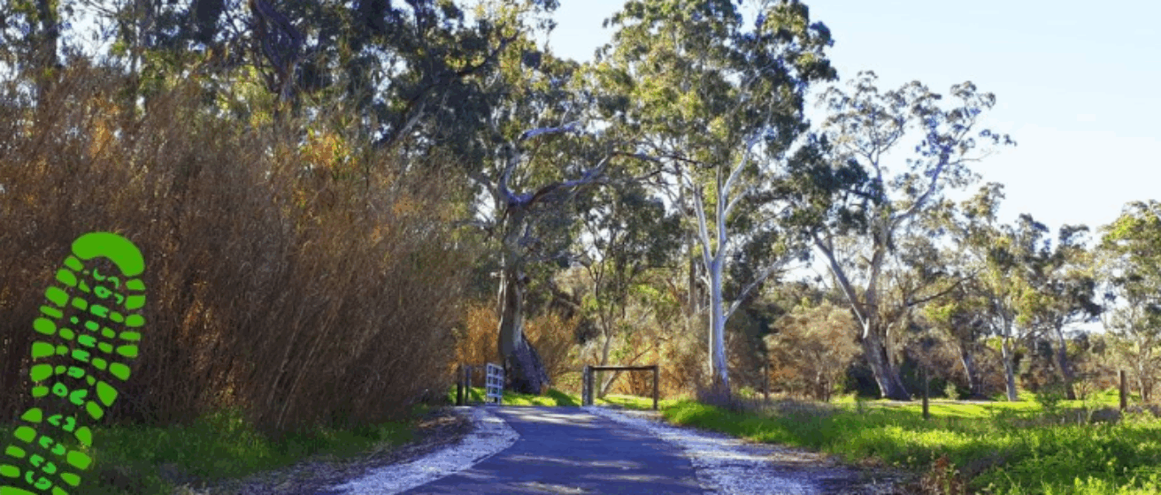 Barossa Run