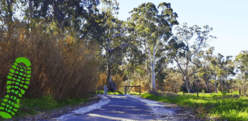 Barossa Run