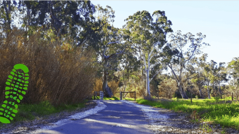 Barossa Run