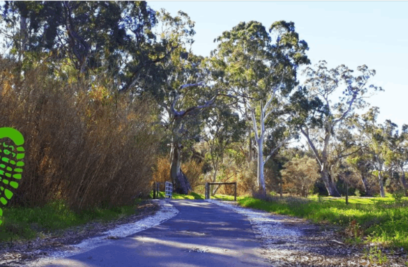 Barossa Run