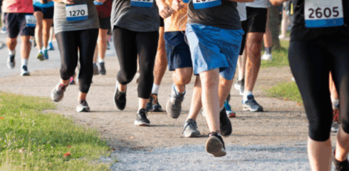 Tamborine Mountain Relays & Marathon