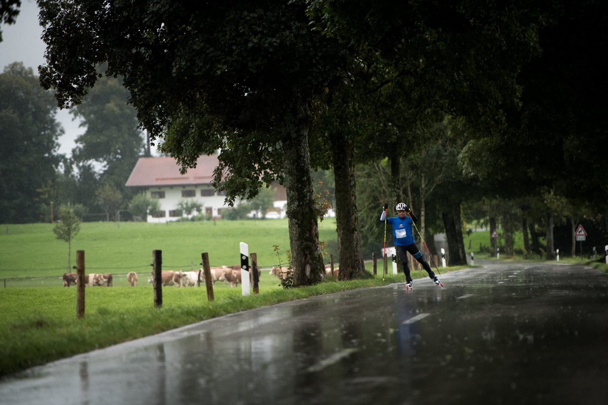 Mt Bogong Conquestathon