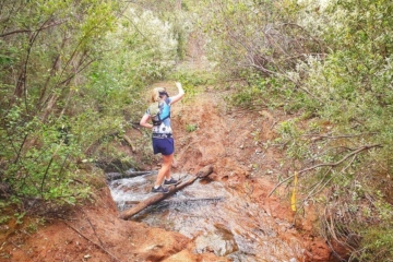 Lark Hill Party Ultra